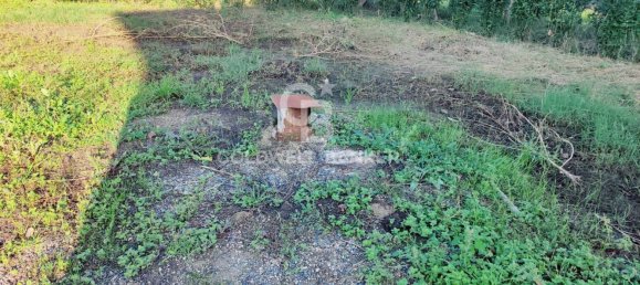 5-Zimmer Haus in Canino, Italy, Nr. 140004 28