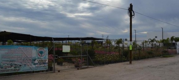 Terreno em La Paz, Mexico N.º 119810 2