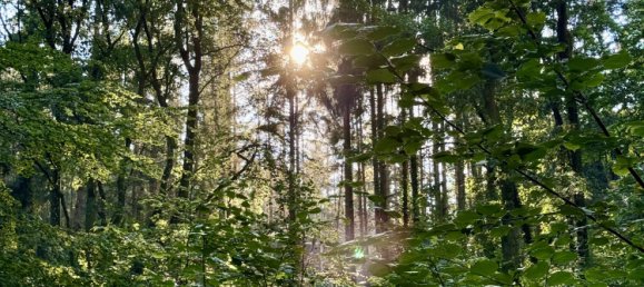 Terrain à Rostock, Germany No. 137975 7