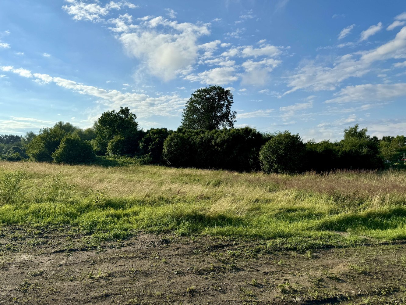 Terrain à Rostock, Germany No. 137975