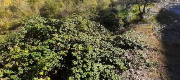 6080m² Land in Mirabello Sannitico, Italy No. 357546 2