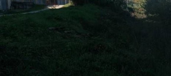 6080m² Land in Mirabello Sannitico, Italy No. 357546 4