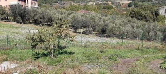 6080m² Land in Mirabello Sannitico, Italy No. 357546 7
