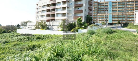 14152m² Land in Oliveira de Azemeis, Portugal No. 87106 5