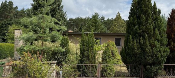 Terreno en Potsdam-Mittelmark, Germany No. 258760 3