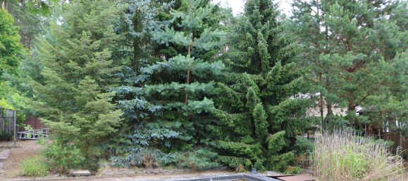 Terreno en Potsdam-Mittelmark, Germany No. 258760 9