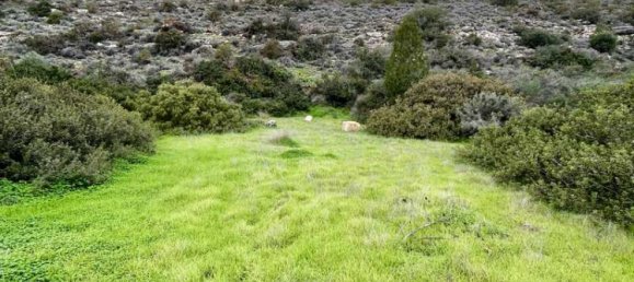 40470m² Hotel in Limassol, Cyprus No. 18415 9