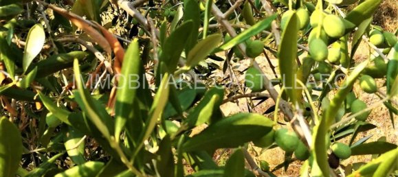 Земельный участок 65м² в Кастелларо, Италия № 90693 2