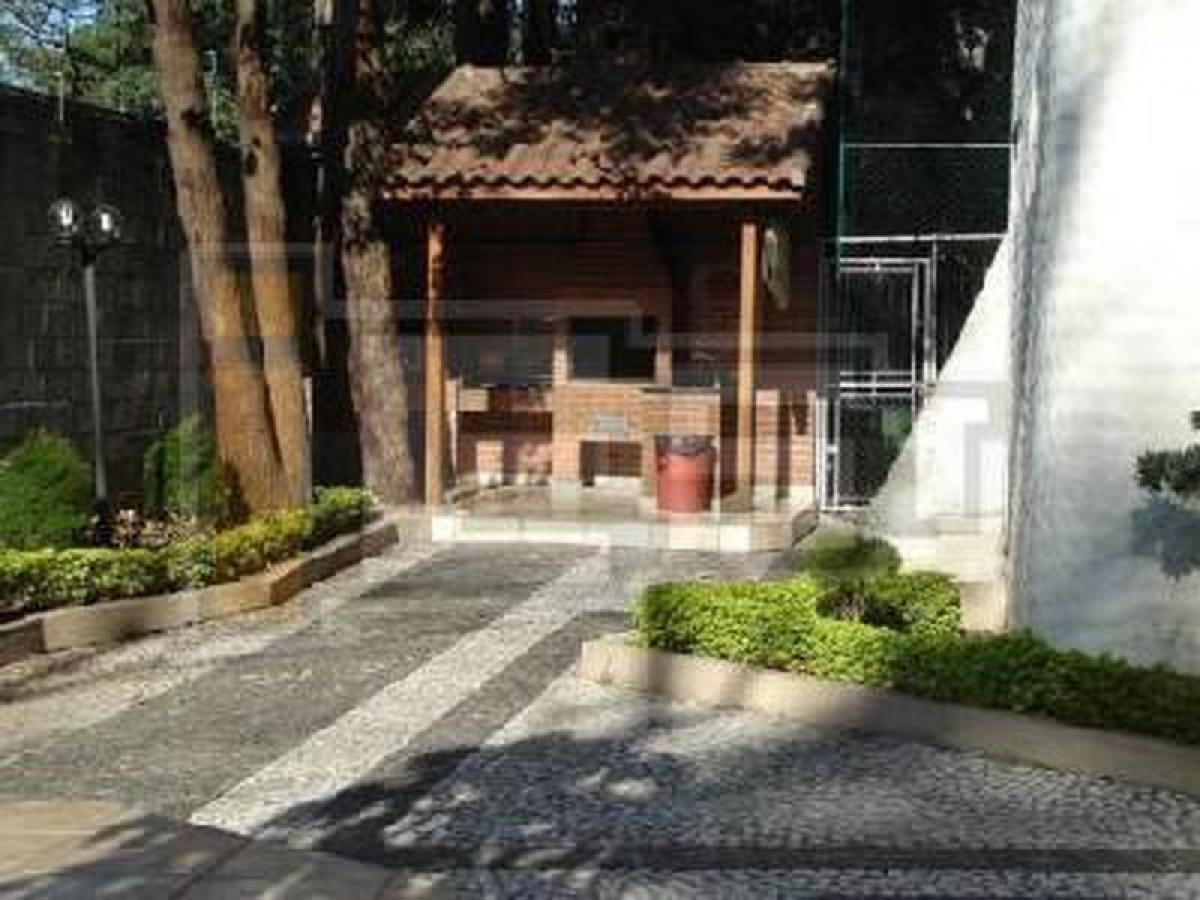 3 غرف نوم شقة في Sao Paulo, Brazil رقم 456859