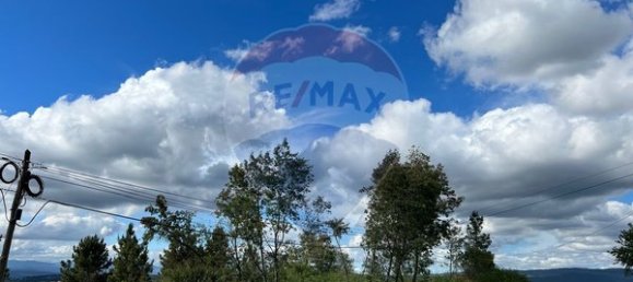 5207m² Land in Viseu, Portugal No. 57076 3