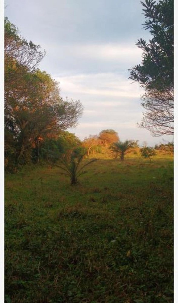 Земельный участок в Веракрус, Мексика № 204956