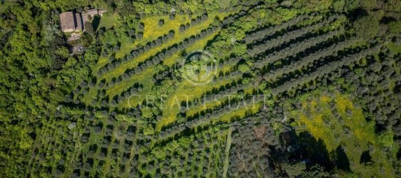 4 bedrooms House in Florence, Italy No. 238029 16