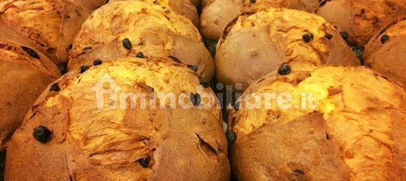 3 rooms Commercial property in Pesaro, Italy No. 167502 3