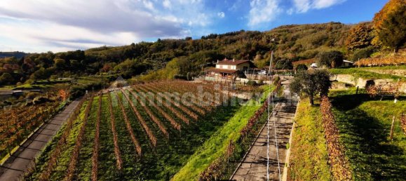 Imóvel comercial de 5 divisões em Castelli Calepio, Italy N.º 52609 4