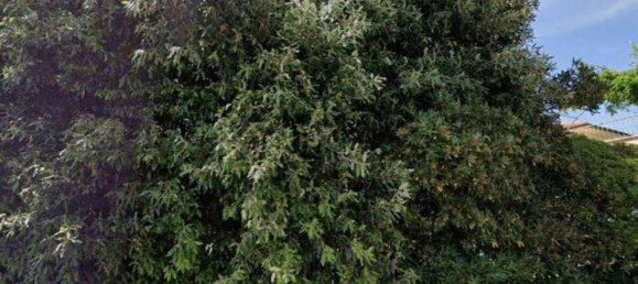 5-salle Appartement à Ardea, Italy No. 193541 3