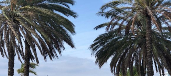 2 bedrooms Apartment in Estepona, Spain No. 185303 3