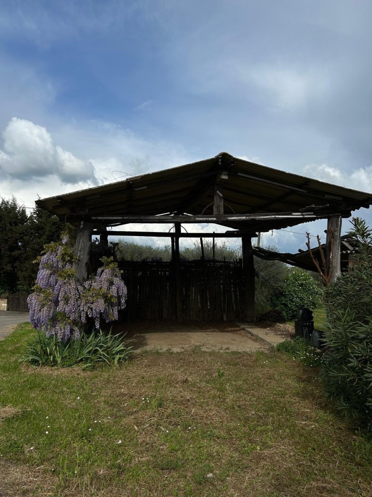 17000m² Land in Sovicille, Italy No. 378510