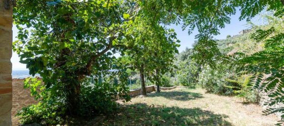 4 bedrooms House in Cortona, Italy No. 57841 18