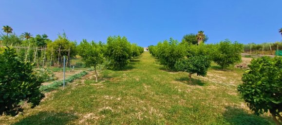 1 bedroom House in Mijas, Spain No. 147377 36