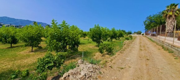 1 bedroom House in Mijas, Spain No. 147377 33