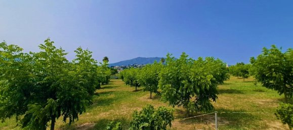 1 bedroom House in Mijas, Spain No. 147377 31