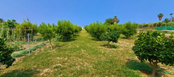 1 bedroom House in Mijas, Spain No. 147377 37