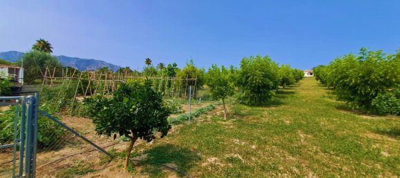 1 bedroom House in Mijas, Spain No. 147377 35