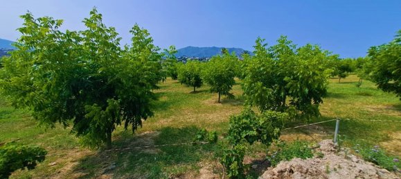 1 bedroom House in Mijas, Spain No. 147377 34