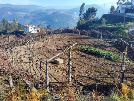 2700m² Land in Castelo de Paiva, Portugal No. 151315