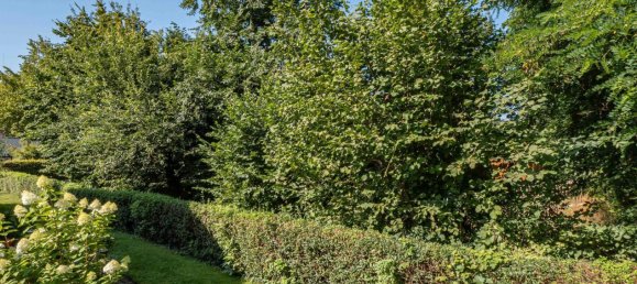 Grundstück in Hochsauerlandkreis, Germany, Nr. 328440 5