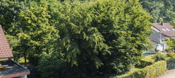 Grundstück in Hochsauerlandkreis, Germany, Nr. 328440 2