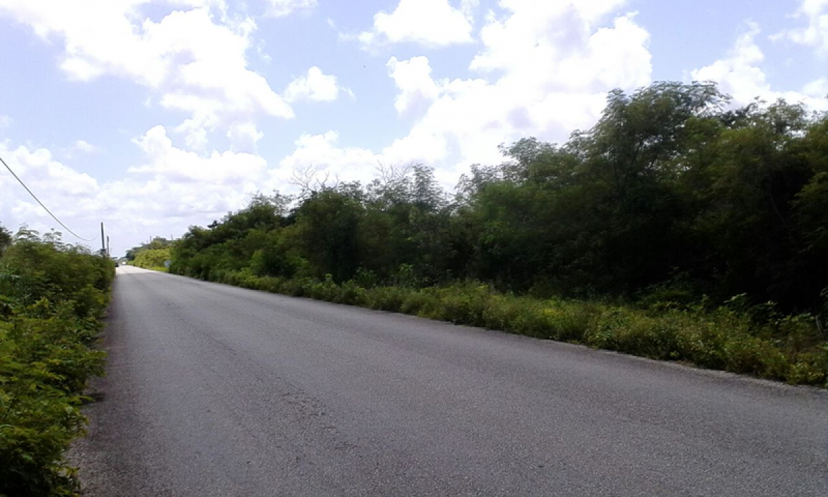 Grundstück in Merida, Mexico, Nr. 108258