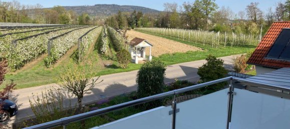 13غرفة تاون هاوس في Bodenseekreis, Germany رقم 365367 32