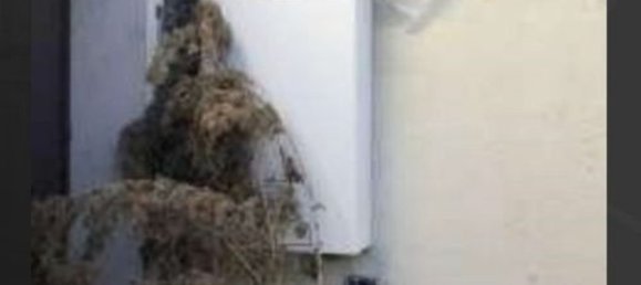 3-Zimmer Villa in Ottobiano, Italy, Nr. 102537 20