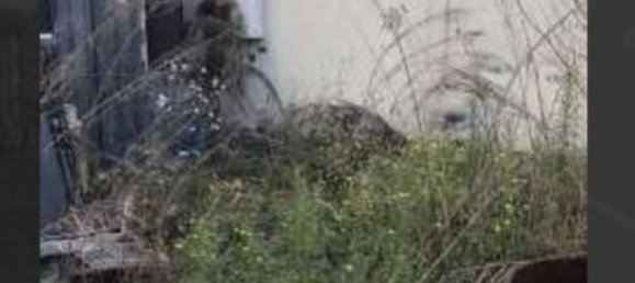 3-Zimmer Villa in Ottobiano, Italy, Nr. 102537 19