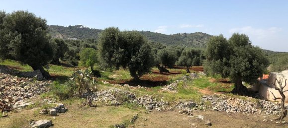 2غرفة منزل في Ostuni, Italy رقم 118381 12