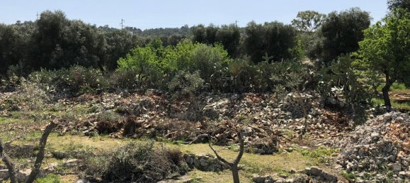 2غرفة منزل في Ostuni, Italy رقم 118381 11