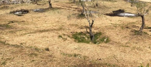 2غرفة منزل في Ostuni, Italy رقم 118381 6