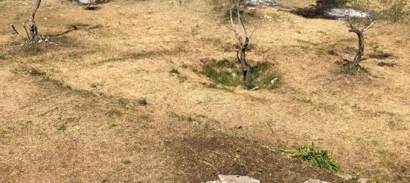 2غرفة منزل في Ostuni, Italy رقم 118381 5