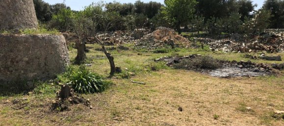 2غرفة منزل في Ostuni, Italy رقم 118381 9