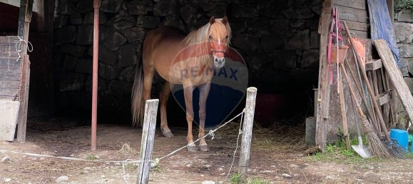 8غرفة فيلا في Bagni di Lucca, Italy رقم 48511 44