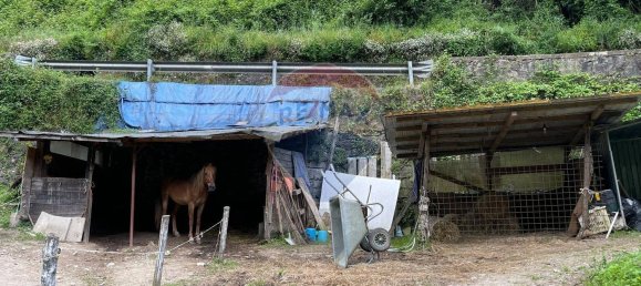 8غرفة فيلا في Bagni di Lucca, Italy رقم 48511 43