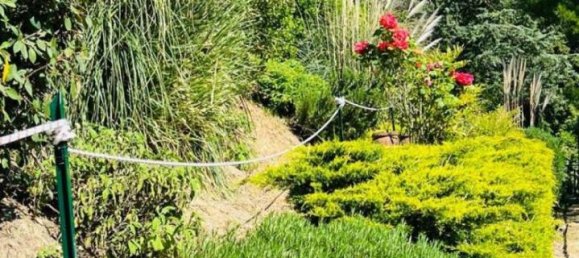 Apartamento de 4 habitaciónes en Londa, Italy No. 104047 34