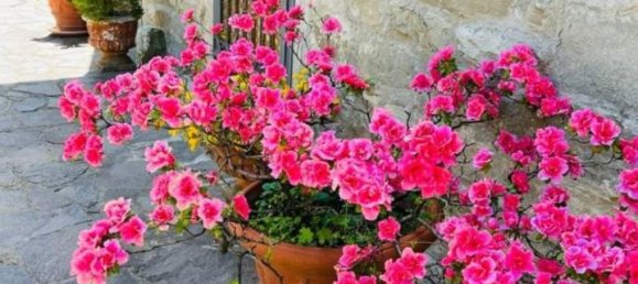 Apartamento de 4 habitaciónes en Londa, Italy No. 104047 36