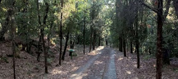 11 Schlafzimmer Wohnung in Reggello, Italy, Nr. 325366 11