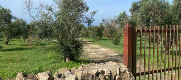 3 bedrooms House in Nardò, Italy No. 27751 4