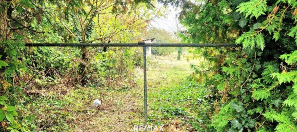  Land in Gols, Austria No. 224251 2