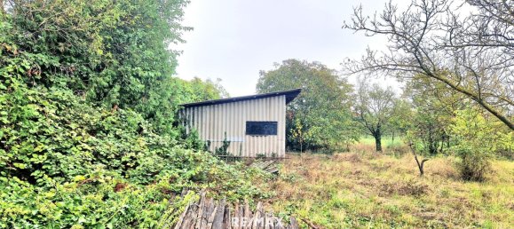  Land in Gols, Austria No. 224251 6