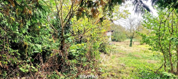  Land in Gols, Austria No. 224251 4