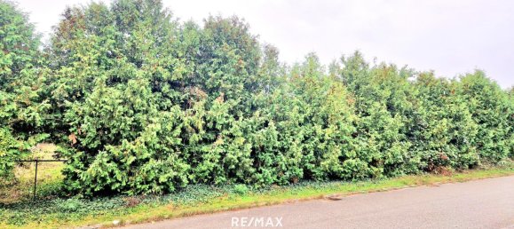  Land in Gols, Austria No. 224251 5